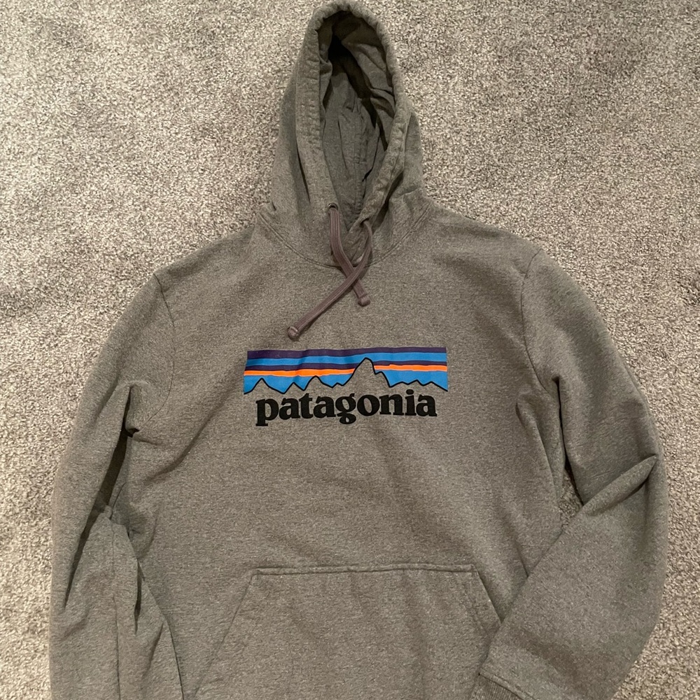 Gray Patagonia hooded sweatshirt medium